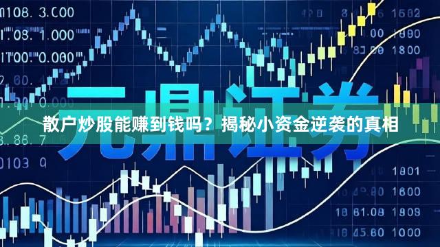 散户炒股能赚到钱吗？揭秘小资金逆袭的真相