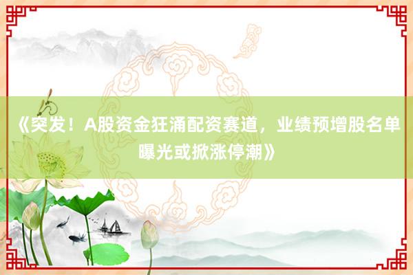 《突发！A股资金狂涌配资赛道，业绩预增股名单曝光或掀涨停潮》