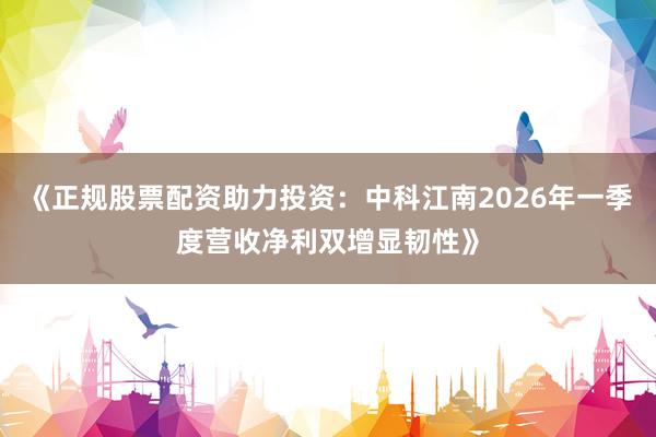 《正规股票配资助力投资：中科江南2026年一季度营收净利双增显韧性》