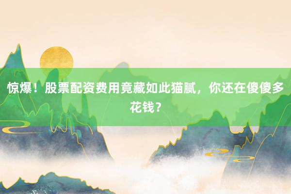 惊爆!股票配资费用竟藏如此猫腻,你还在傻傻多花钱?