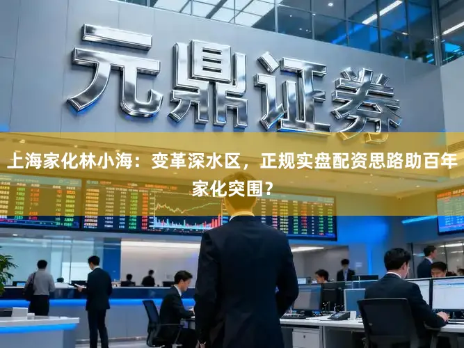 上海家化林小海：变革深水区，正规实盘配资思路助百年家化突围？