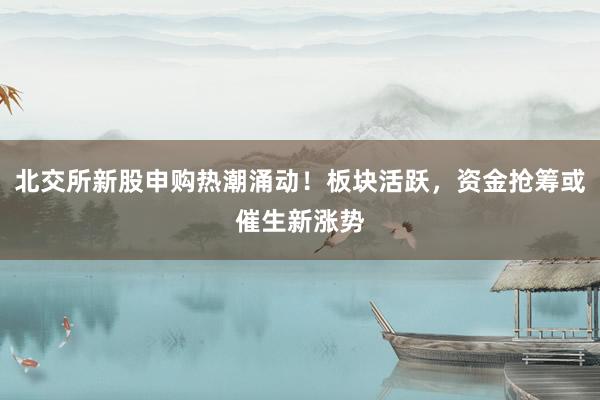 北交所新股申购热潮涌动!板块活跃,资金抢筹或催生新涨势