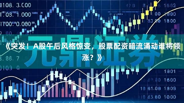《突发!A股午后风格惊变,股票配资暗流涌动谁将领涨?》
