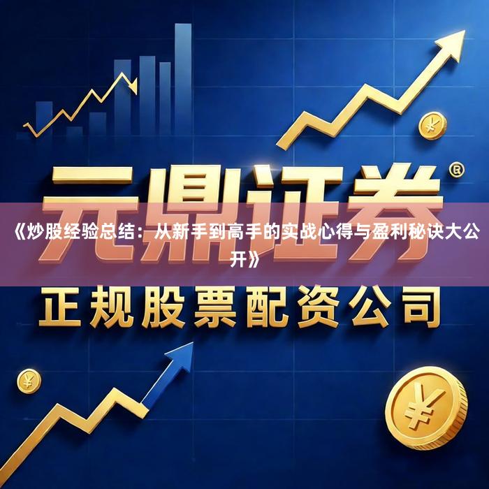 《炒股经验总结：从新手到高手的实战心得与盈利秘诀大公开》