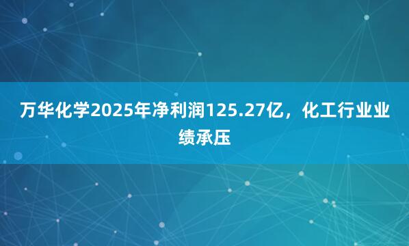 万华化学2025年净利润125.27亿，化工行业业绩承压