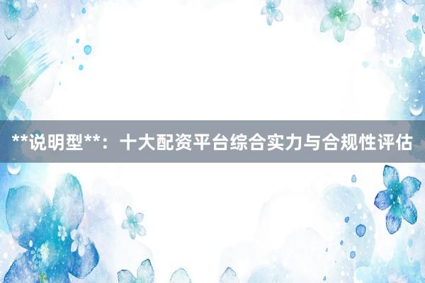 **说明型**：十大配资平台综合实力与合规性评估