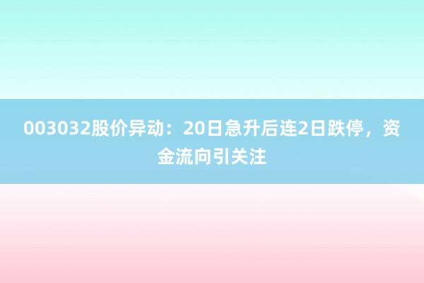 003032股价异动：20日急升后连2日跌停，资金流向引关注
