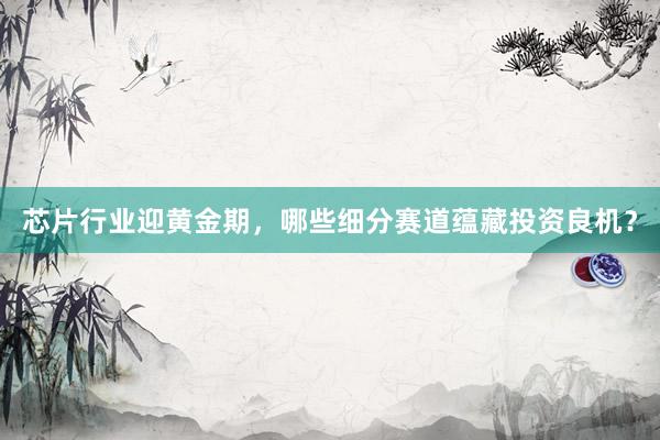 芯片行业迎黄金期，哪些细分赛道蕴藏投资良机？