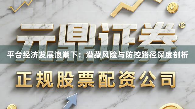 平台经济发展浪潮下：潜藏风险与防控路径深度剖析