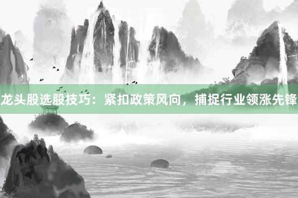 龙头股选股技巧：紧扣政策风向，捕捉行业领涨先锋