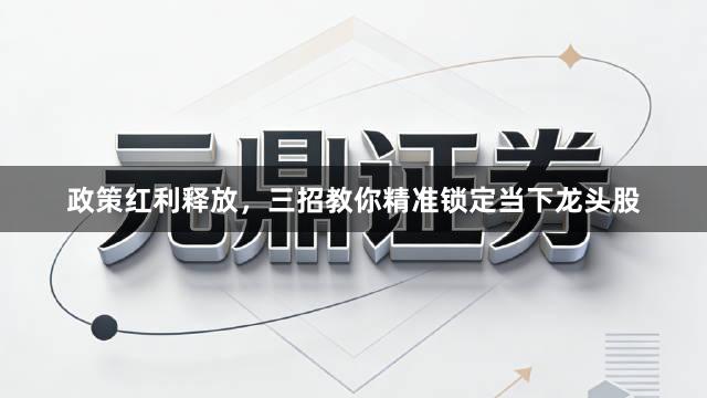 政策红利释放，三招教你精准锁定当下龙头股