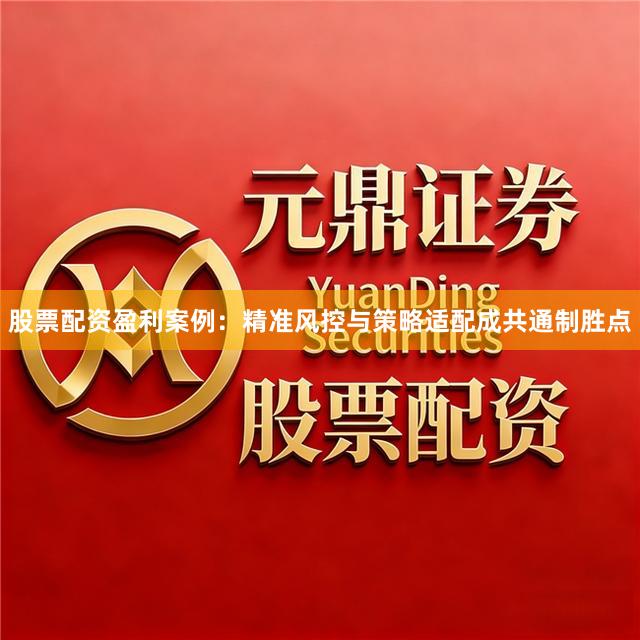 股票配资盈利案例：精准风控与策略适配成共通制胜点