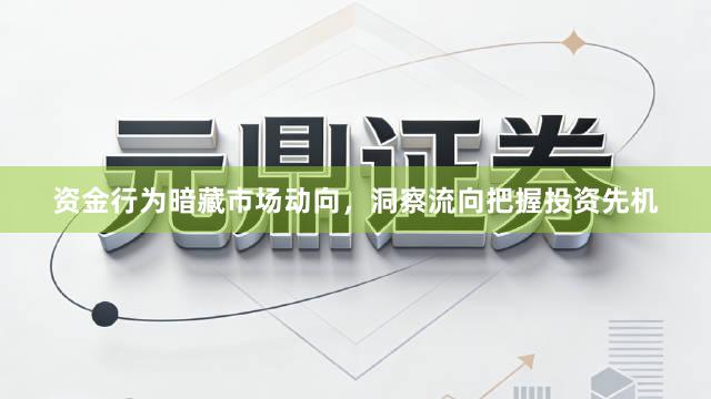 资金行为暗藏市场动向，洞察流向把握投资先机