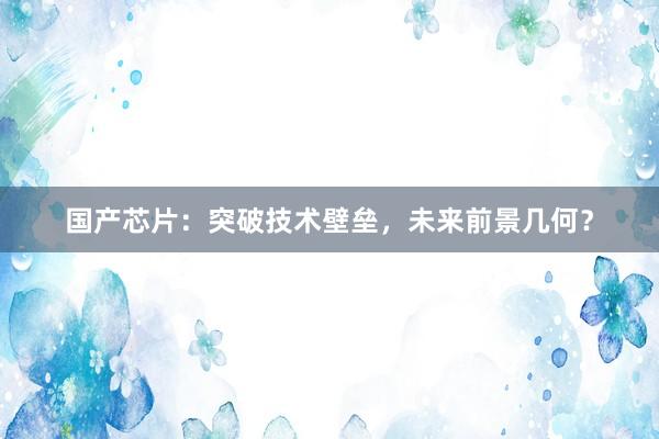 国产芯片：突破技术壁垒，未来前景几何？
