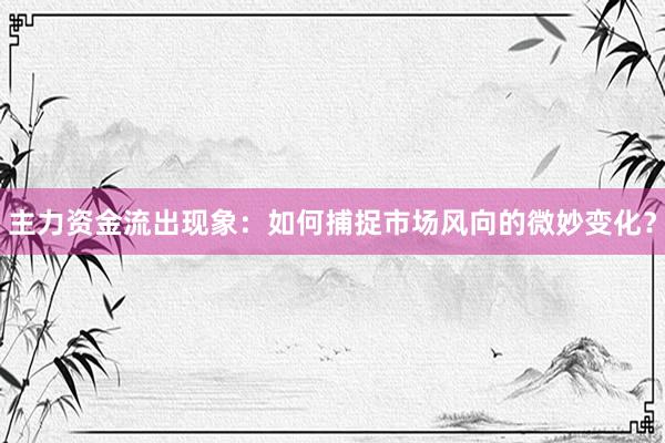 主力资金流出现象：如何捕捉市场风向的微妙变化？
