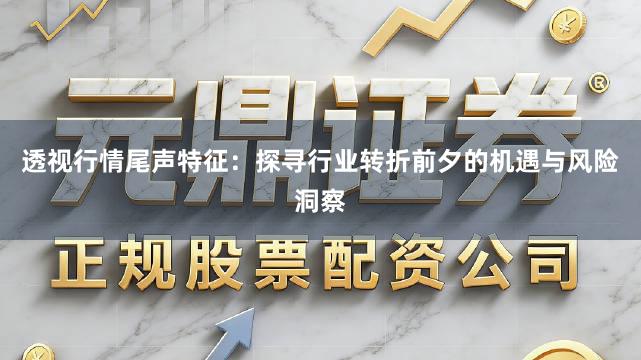 透视行情尾声特征：探寻行业转折前夕的机遇与风险洞察