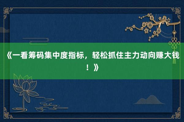 《一看筹码集中度指标，轻松抓住主力动向赚大钱！》