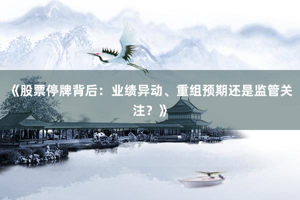 《股票停牌背后：业绩异动、重组预期还是监管关注？》
