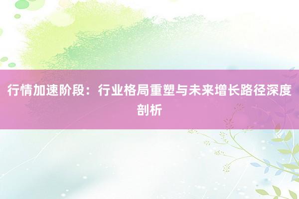 行情加速阶段：行业格局重塑与未来增长路径深度剖析